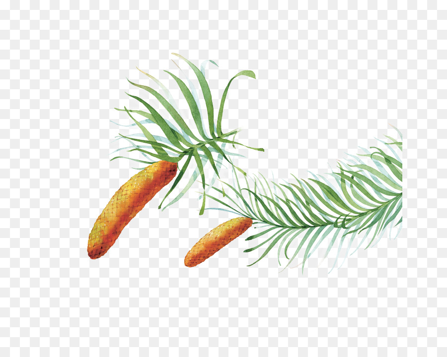 Arbre，Tige De La Plante PNG