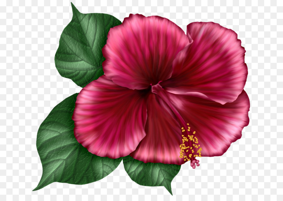 Bouquet De Fleurs，Fleurs PNG