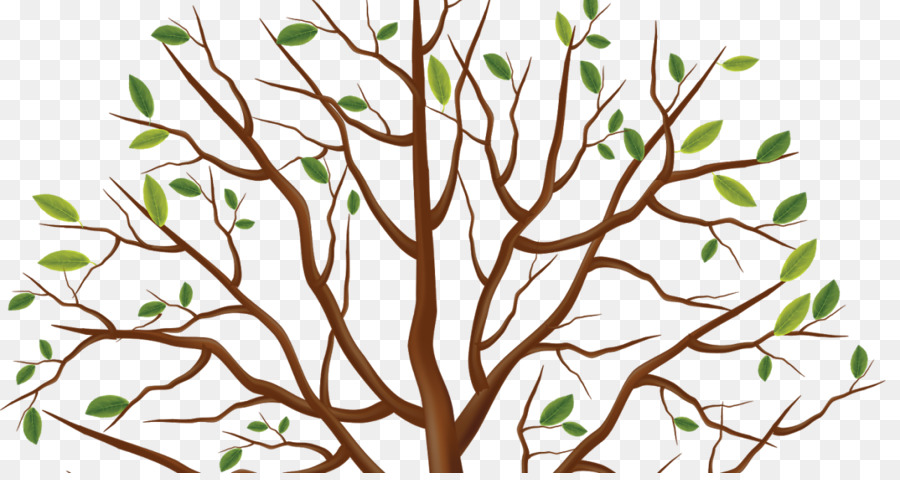 Branches D'arbres，Feuilles PNG