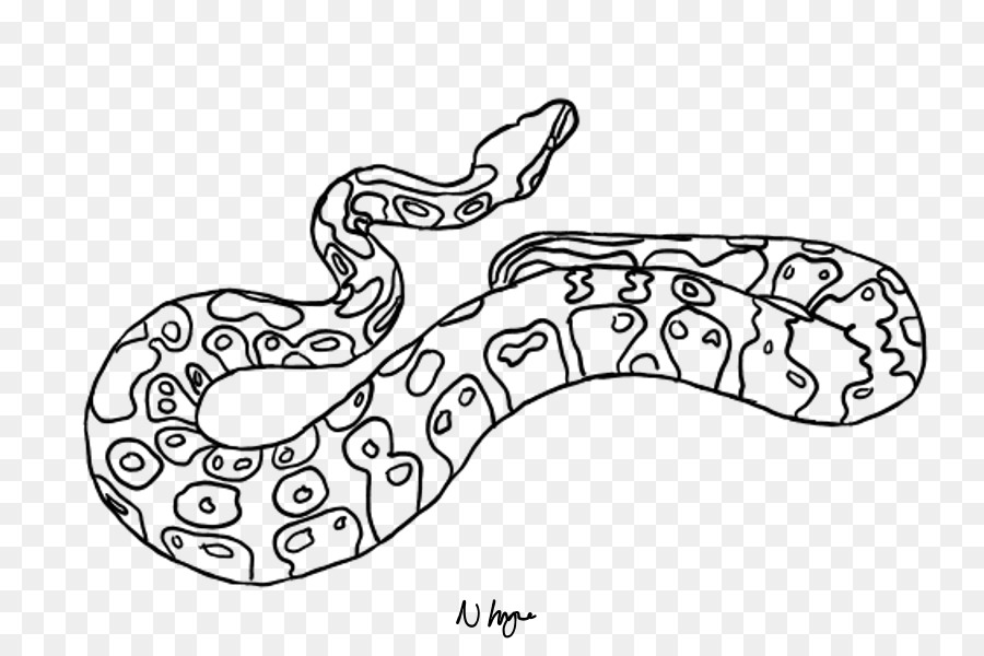 Dessin De Serpent，Reptile PNG