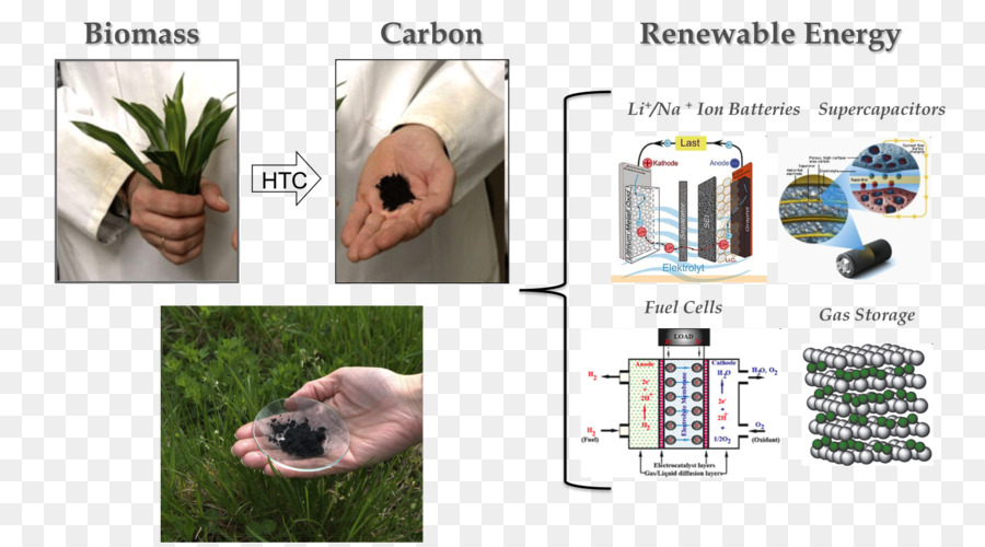 Énergie Renouvelable，Biomasse PNG