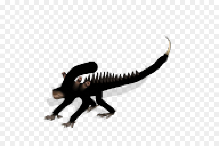 Velociraptor，Pour Les Animaux Terrestres PNG