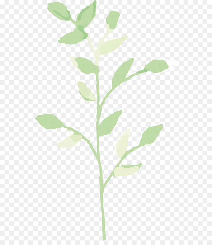 Feuille，Vert PNG