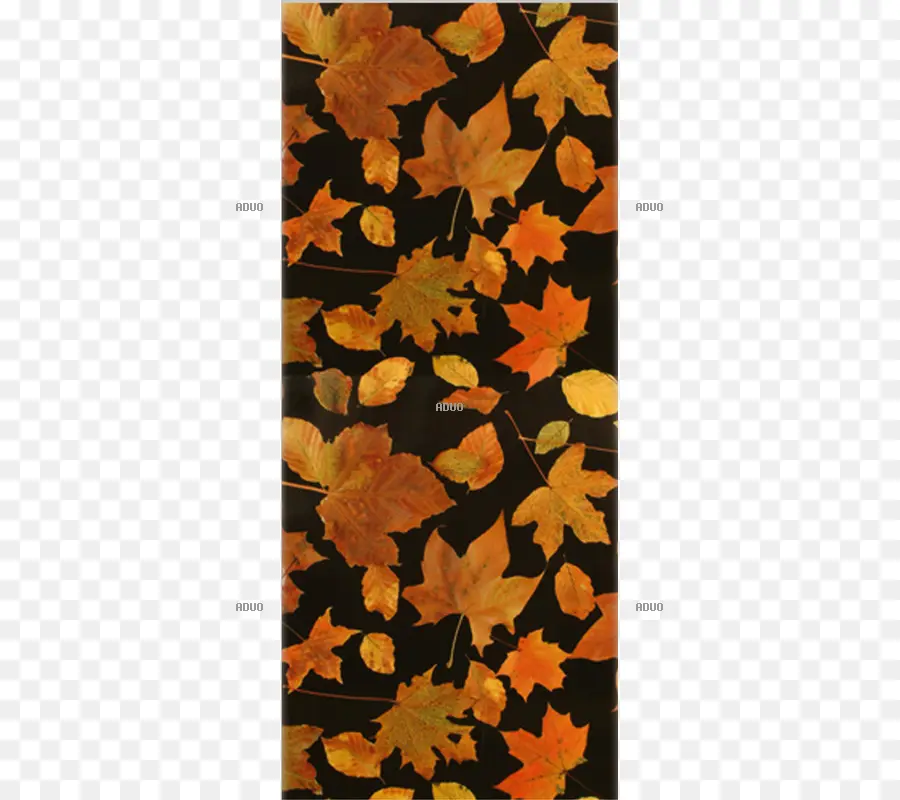 Feuilles D'automne，Automne PNG