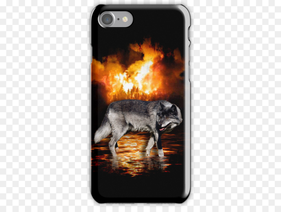 Loup Gris，Zazzle PNG