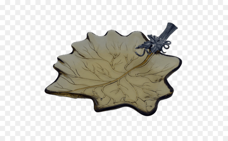 Feuille，Verre PNG