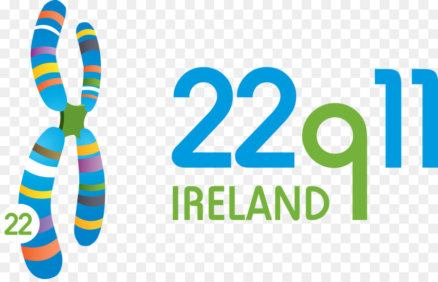 22q11 Irlande，Logo PNG