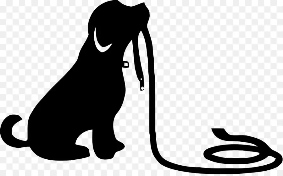 Silhouette De Chien，Laisse PNG