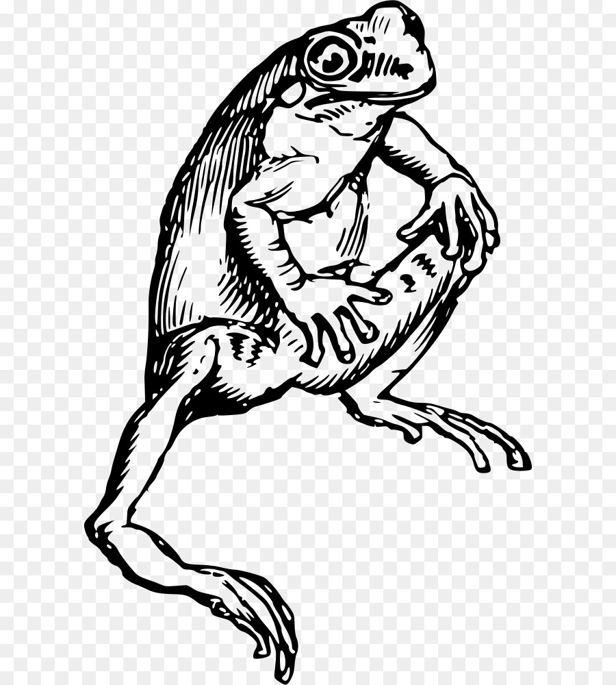 Grenouille，T Shirt PNG