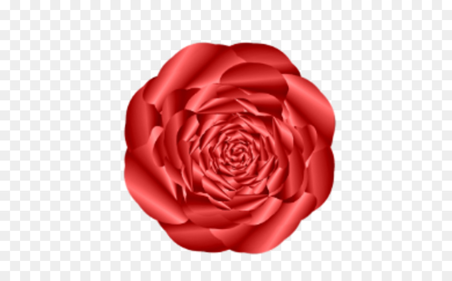 Rose Rouge，Fleurir PNG