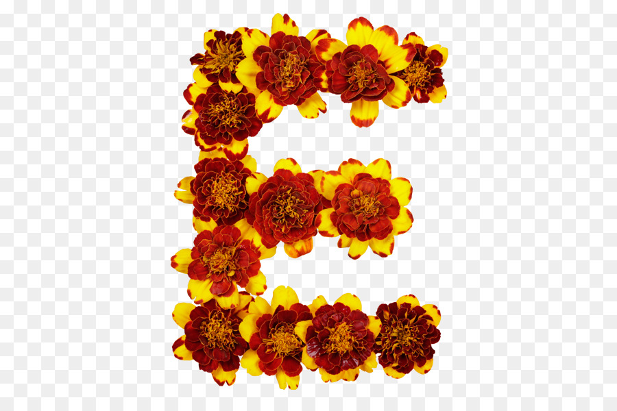 Lettre De Fleur E，Fleur PNG