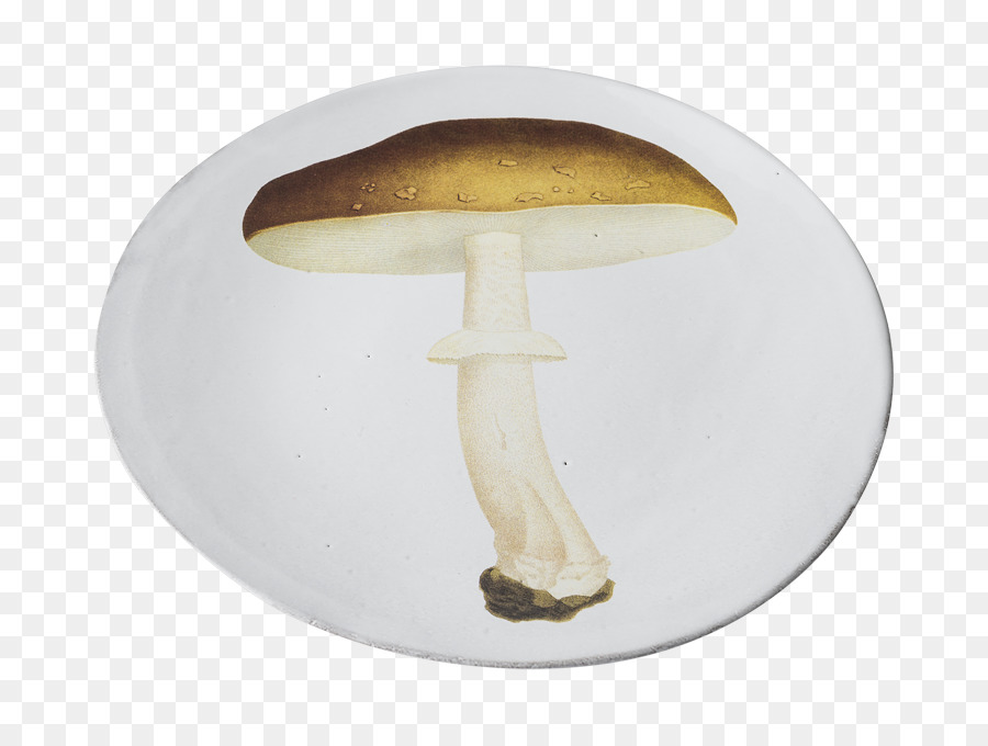 Champignons， PNG