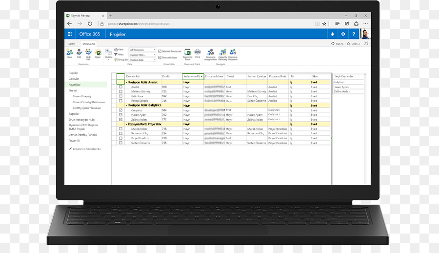 Microsoft Project，Gestion De Portefeuille De Projet PNG