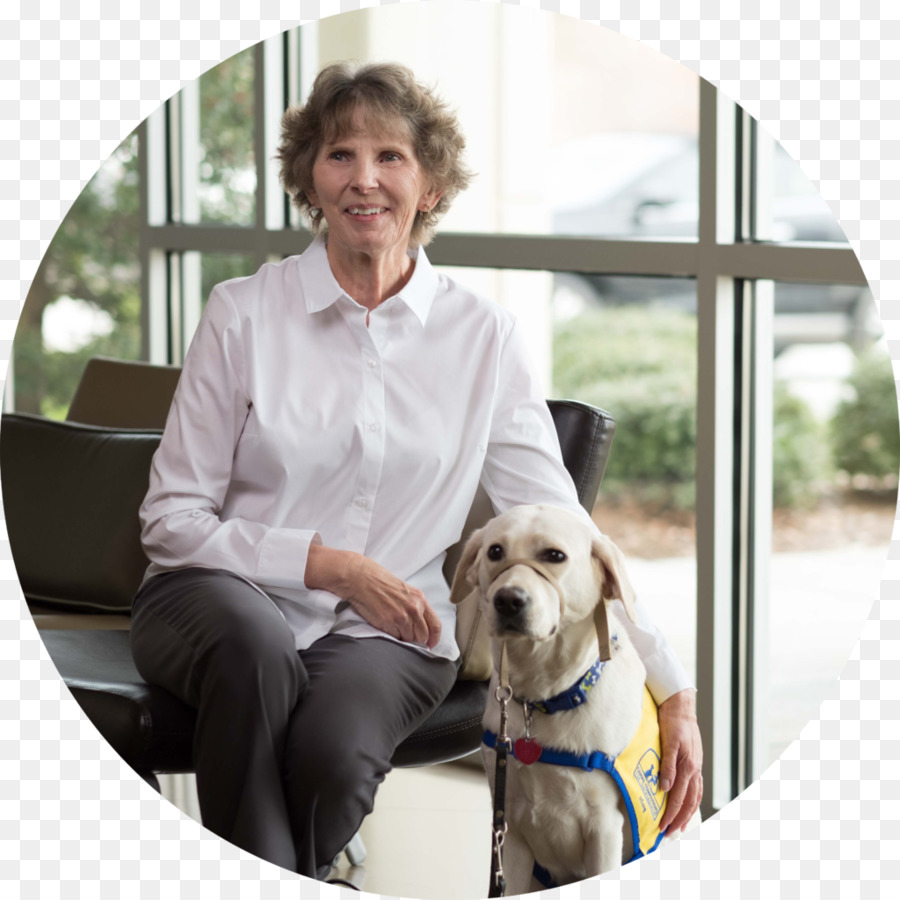 Femme Avec Chien，Animal De Compagnie PNG