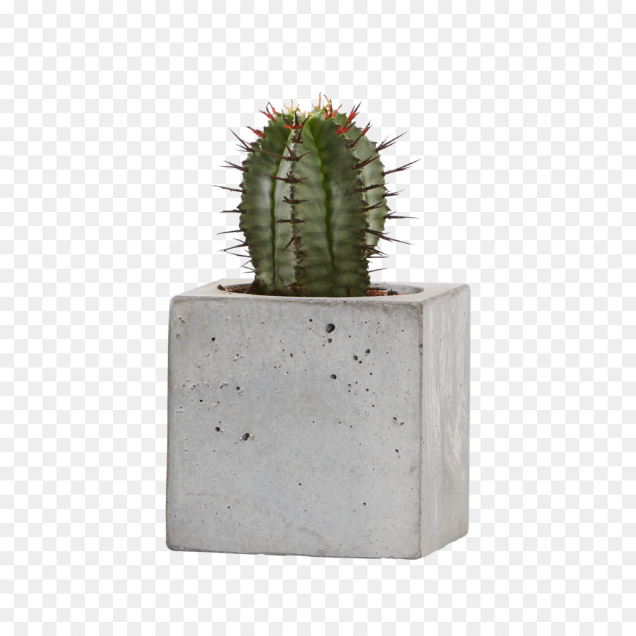 Citroën Cactus M，Flowerpot PNG