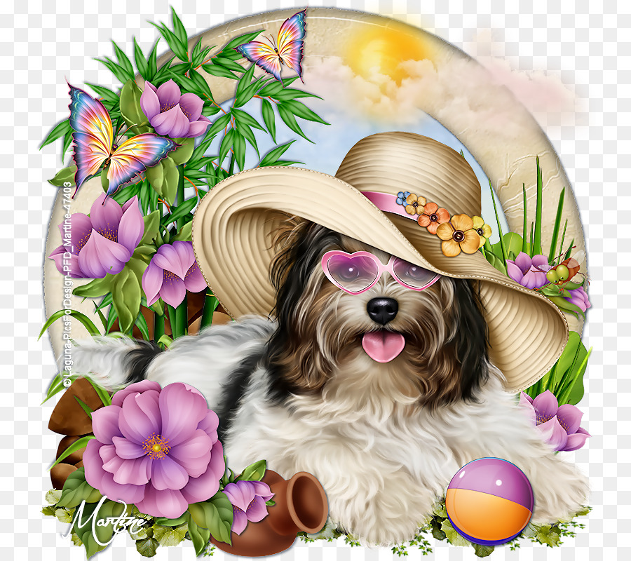 Chien，Chapeau PNG