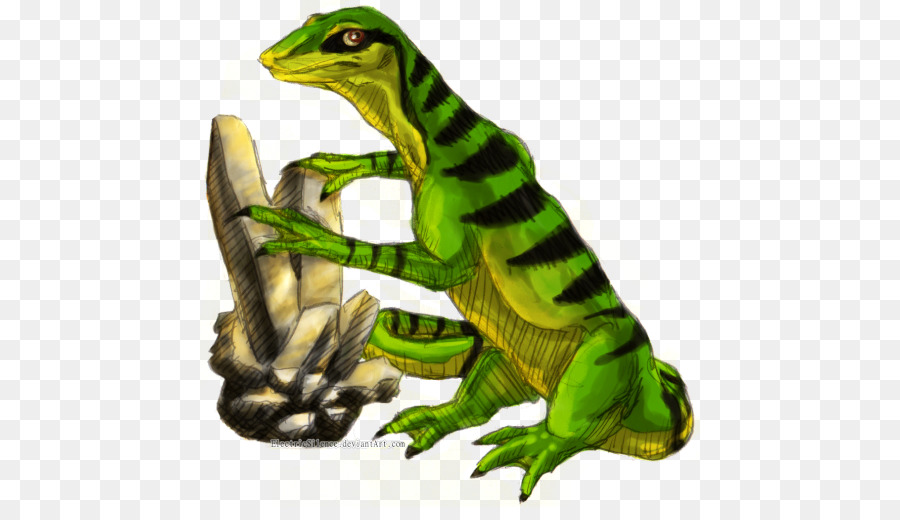 Grenouille，Reptile PNG