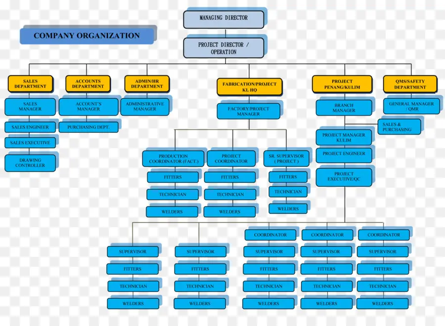 Organigramme，Organisation PNG