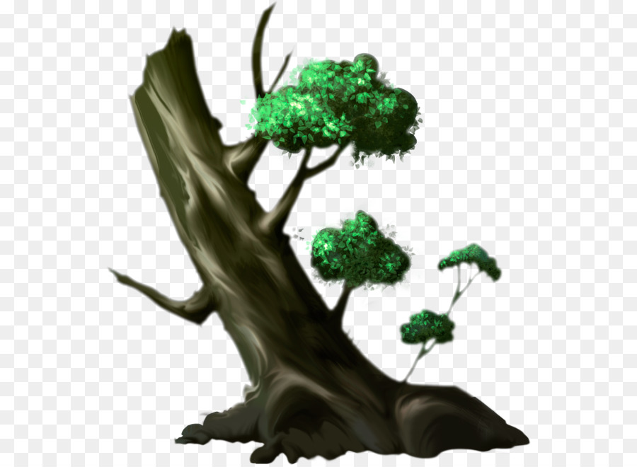 Branche，Arbre PNG