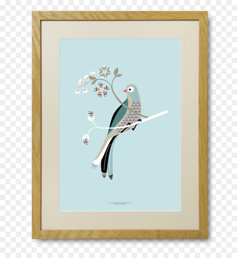 Oiseau，Illustrator PNG