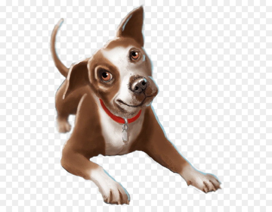 Chien，Animal De Compagnie PNG