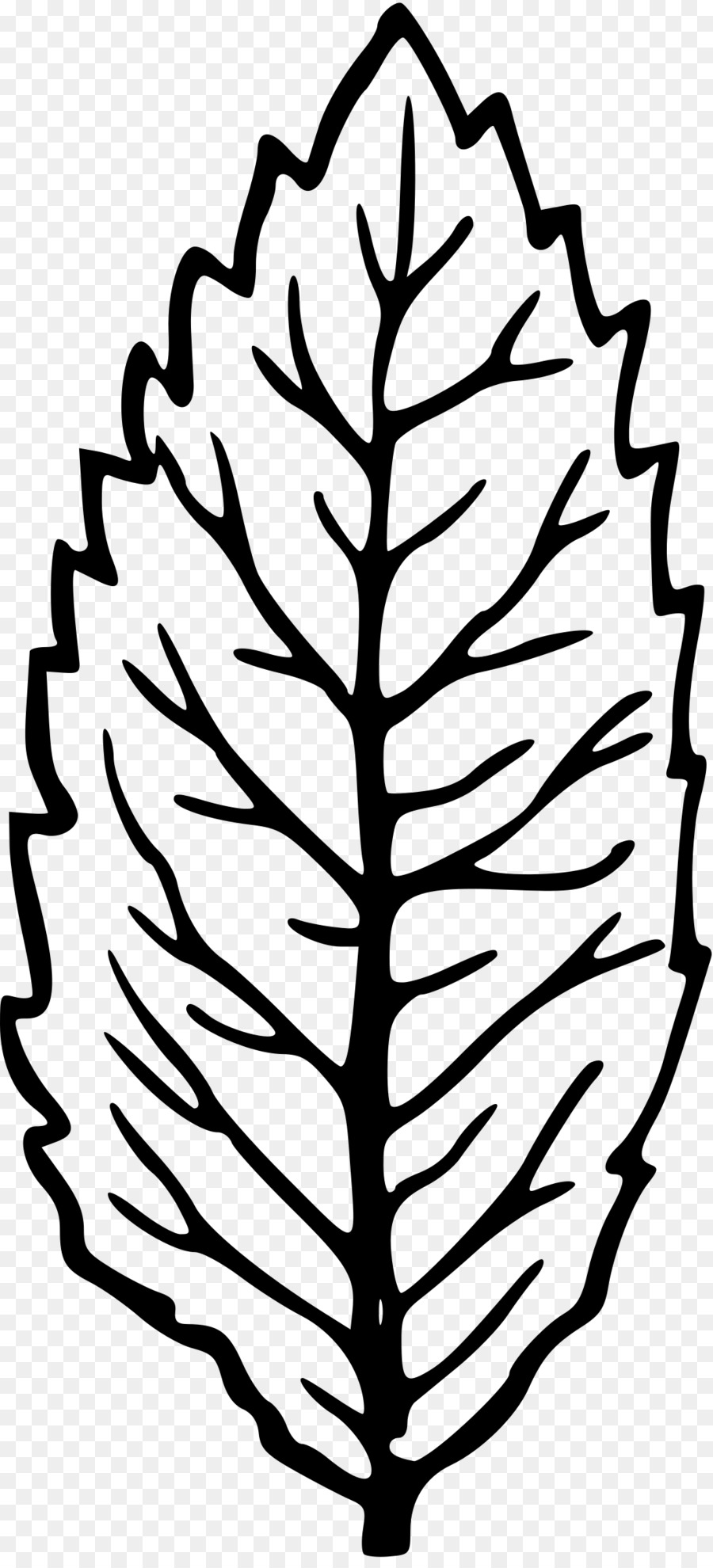 Feuille，Tige De La Plante PNG