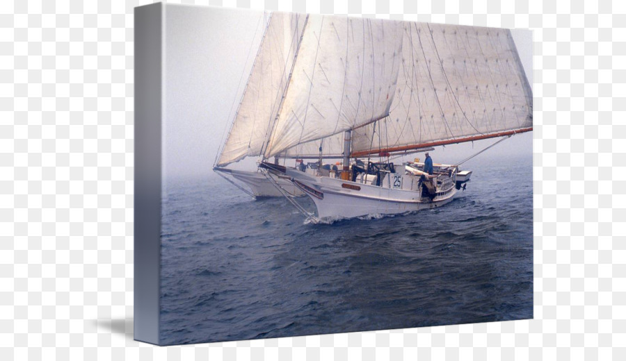 Voile，Le Listao PNG