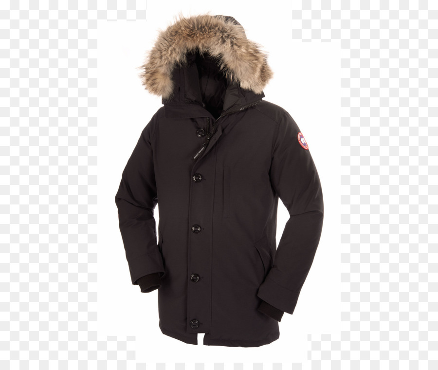 Oie Du Canada，Parka PNG