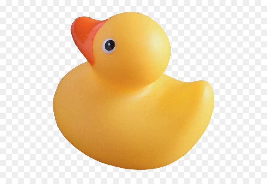 Canard，Type Void PNG