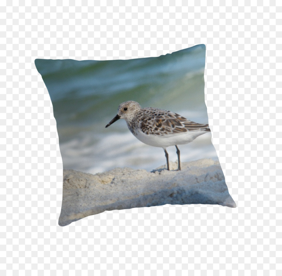 Coussin，Bec PNG