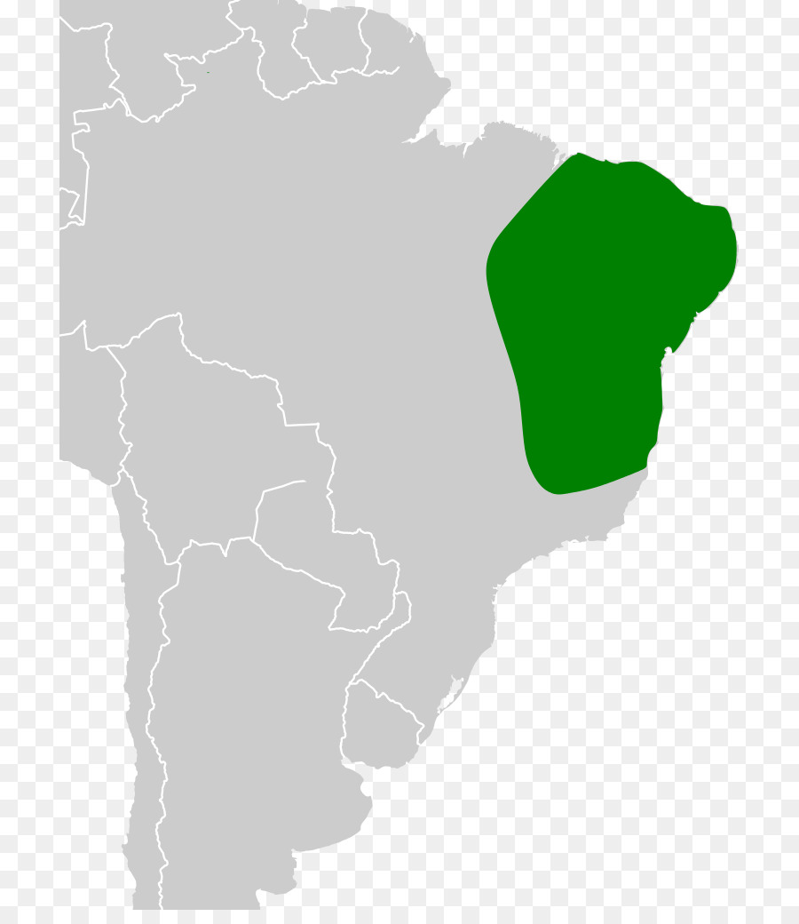 L Amérique Du Sud，Vert PNG