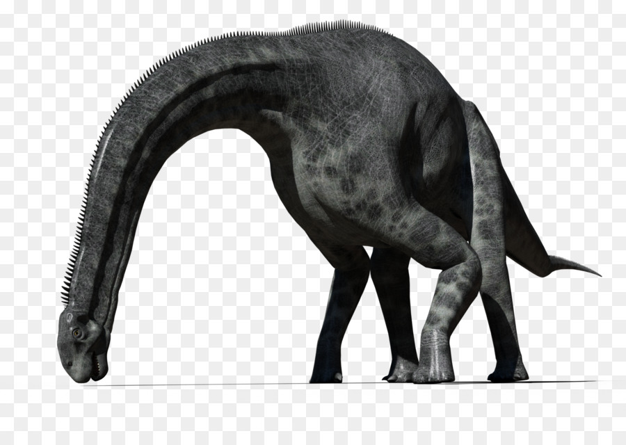 Cetiosaurus，Dinosaure PNG