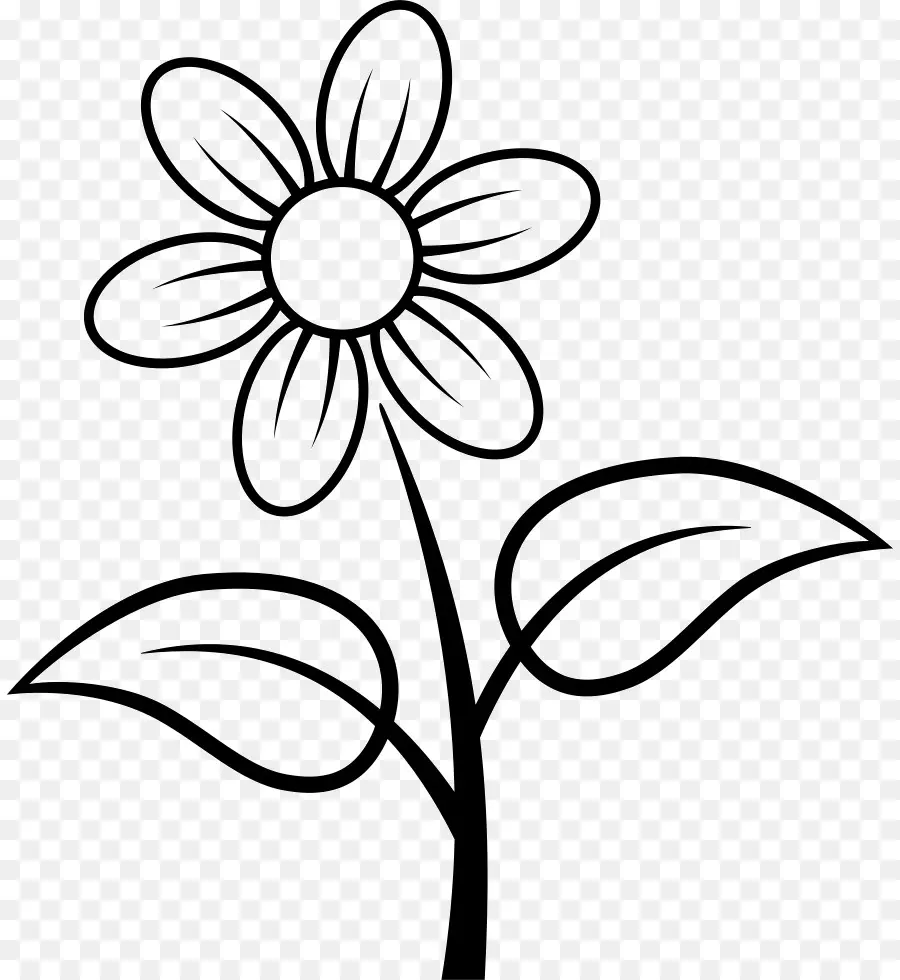 Fleurs，Marguerite PNG