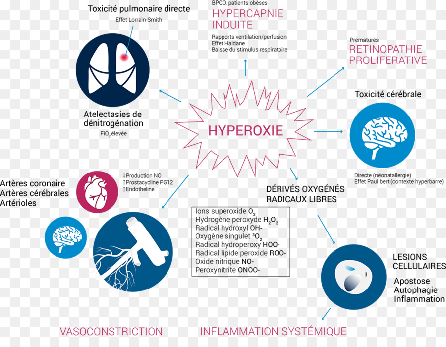 Diagramme D'hyperoxie，Médical PNG