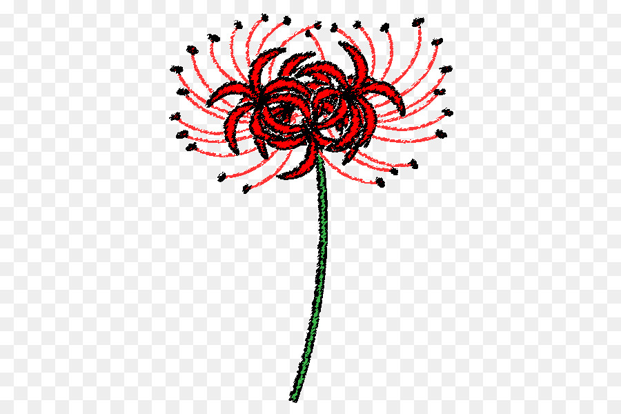 Art Floral，Lis Araignée Rouge PNG