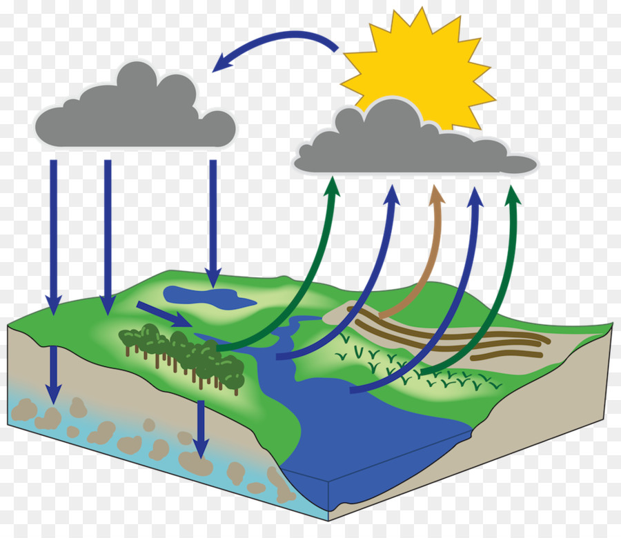 Les Ressources En Eau，L écosystème PNG