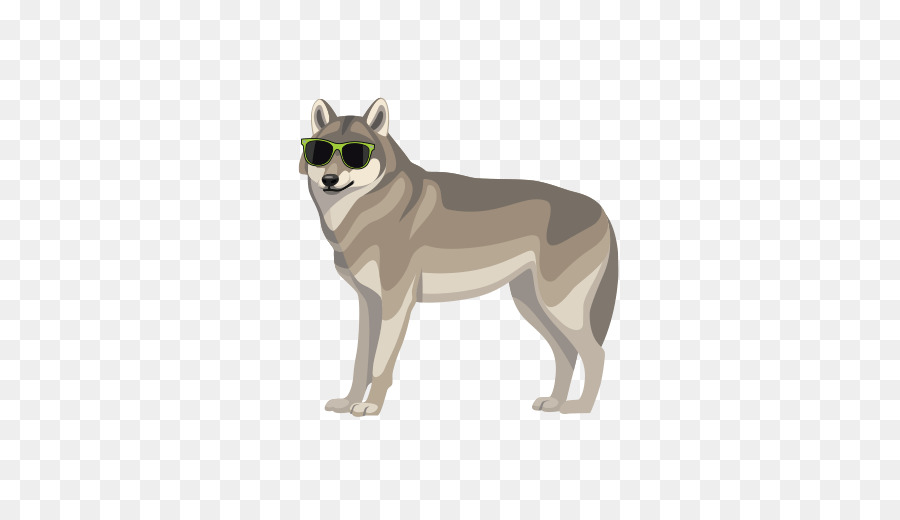 Saarloos Wolfdog，Wolfdog Tchécoslovaque PNG