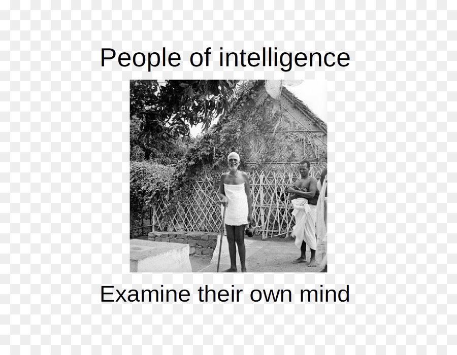 L Intelligence，L Esprit PNG