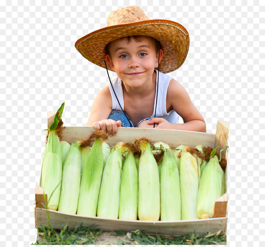 Agriculture，Ferme PNG