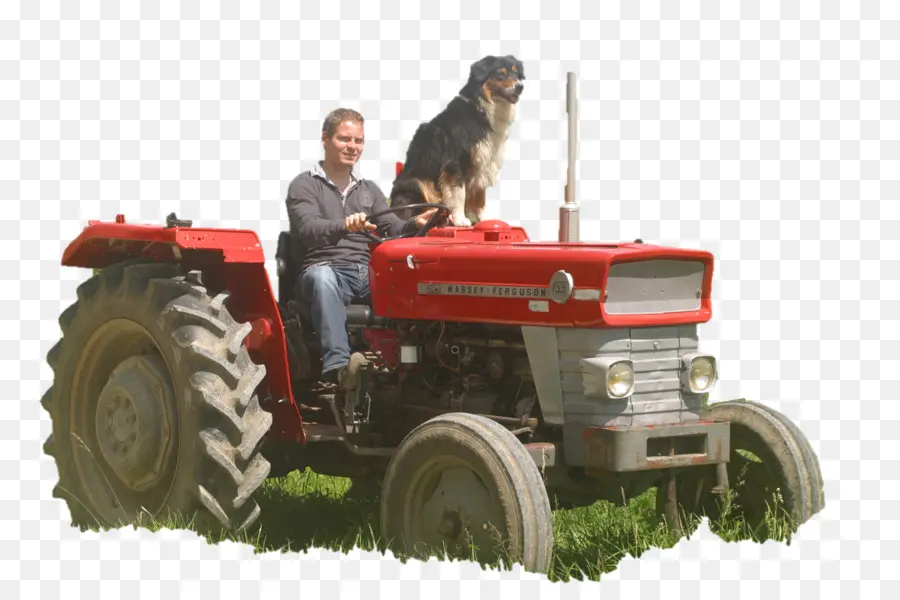 Homme Sur Tracteur Avec Chien，Tracteur PNG