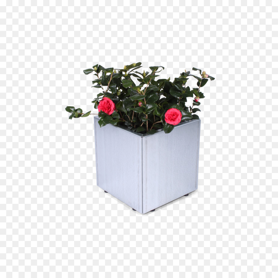 Flowerpot，De PNG