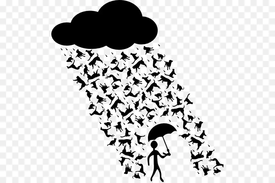 Il Pleut Des Chats Et Des Chiens，Parapluie PNG