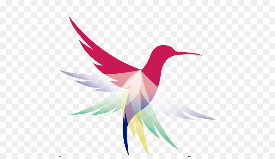 Colibri，Coloré PNG