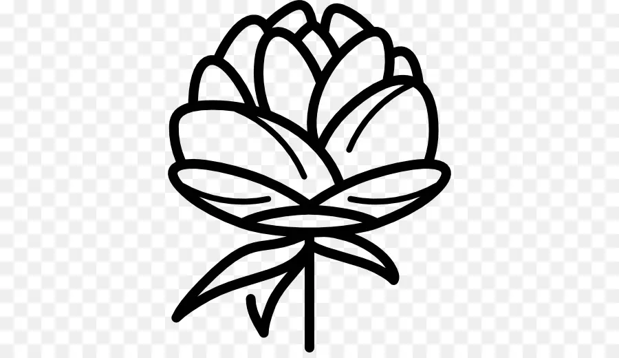 Contour De La Fleur，Usine PNG