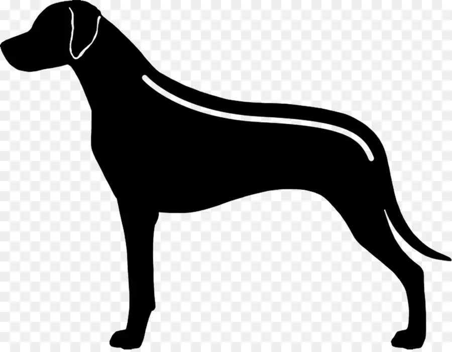 Chien，Animal De Compagnie PNG