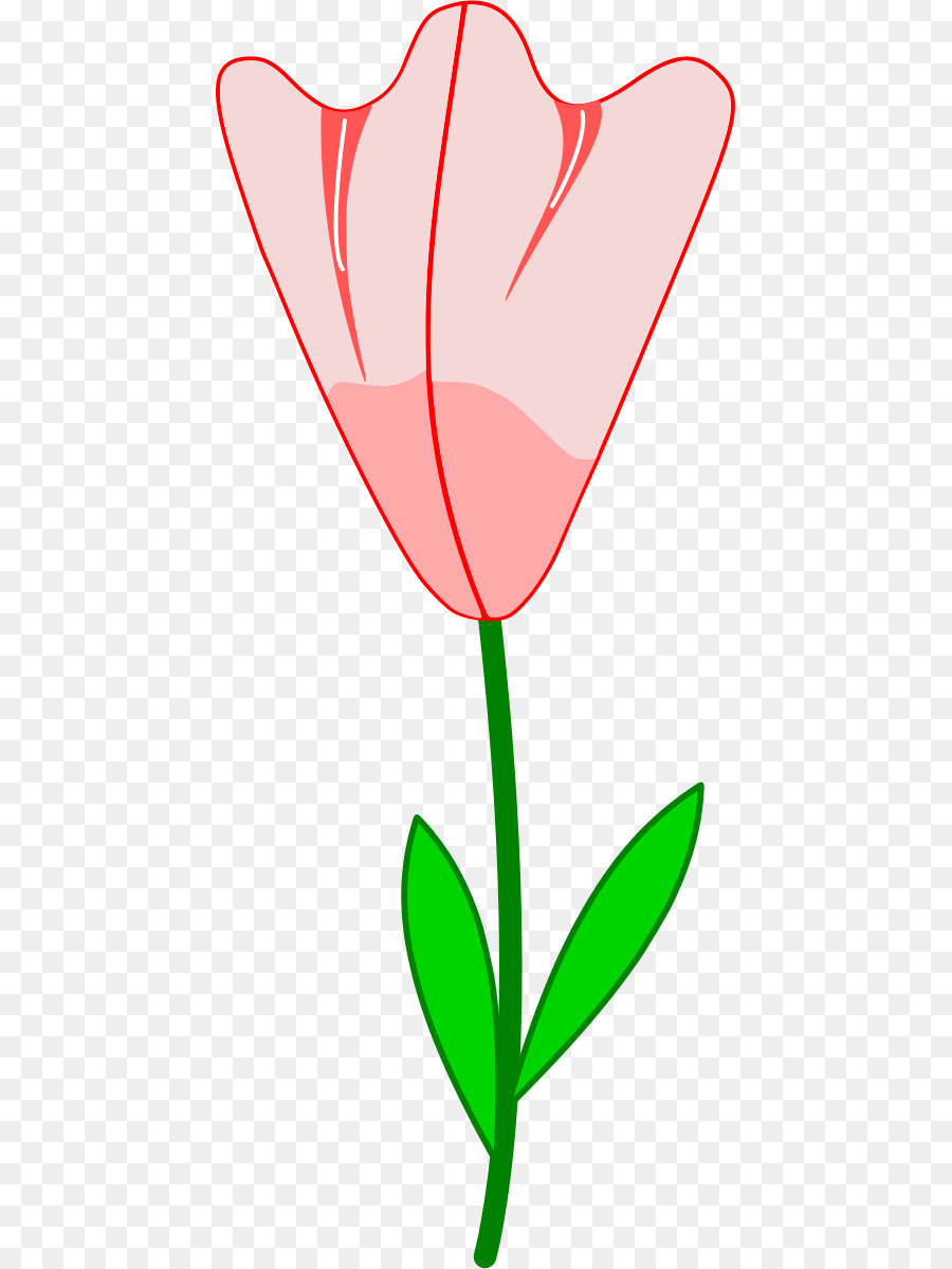 Fleur，Rouge PNG