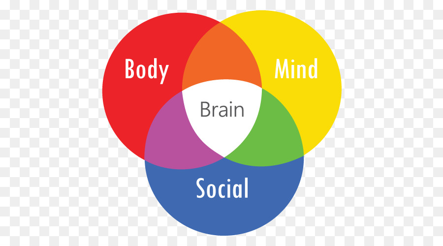 Corps Esprit Cerveau Social，Diagramme De Venn PNG