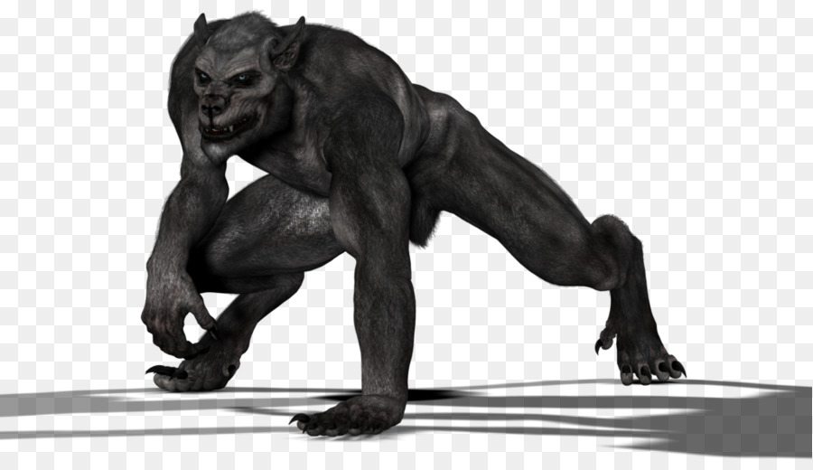 Loup Garou，Fourrure Noire PNG