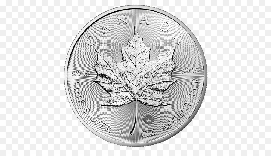 Feuille D'érable à Argent Canadien，Feuille D'érable Aurifère Canadien PNG