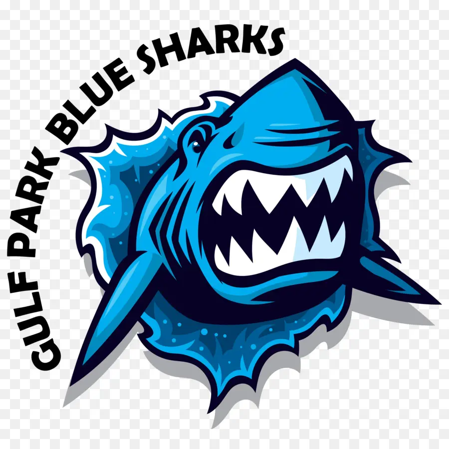 Requin，Bleu PNG